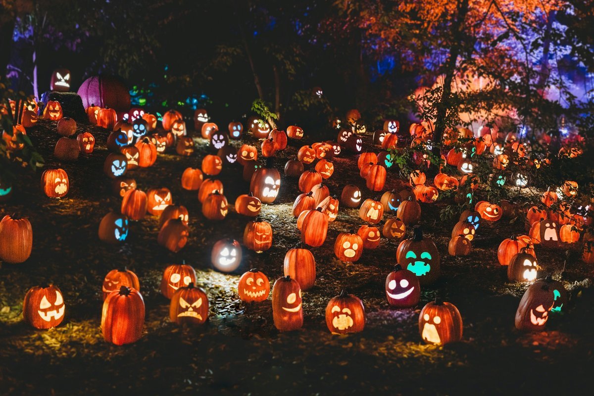 Spooktacular Ways to Give Back: Celebrating Halloween 2026 in Vancouver