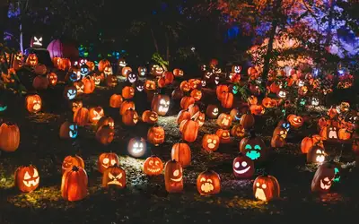 Spooktacular Ways to Give Back: Celebrating Halloween 2026 in Vancouver