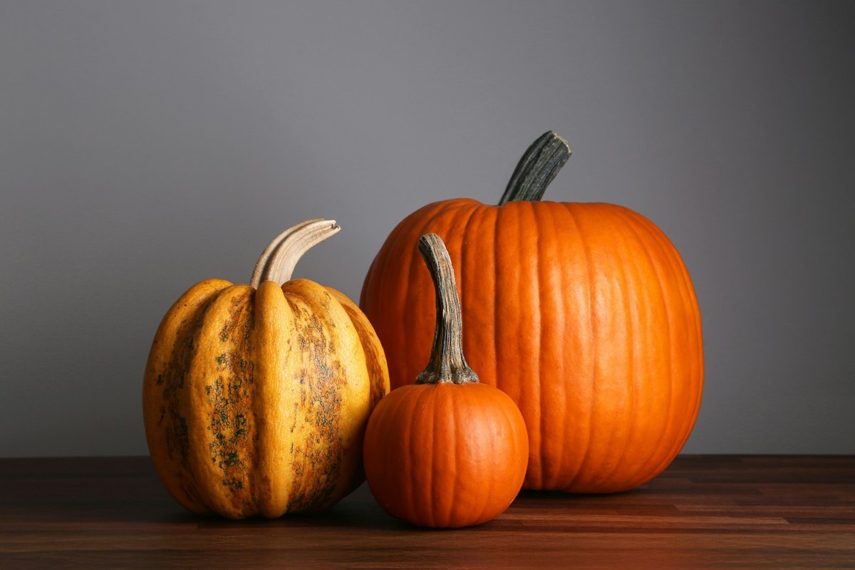Setting a Wider Table: Meaningful Ways to Give Back This Thanksgiving Across Vancouver