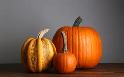 Setting a Wider Table: Meaningful Ways to Give Back This Thanksgiving Across Vancouver