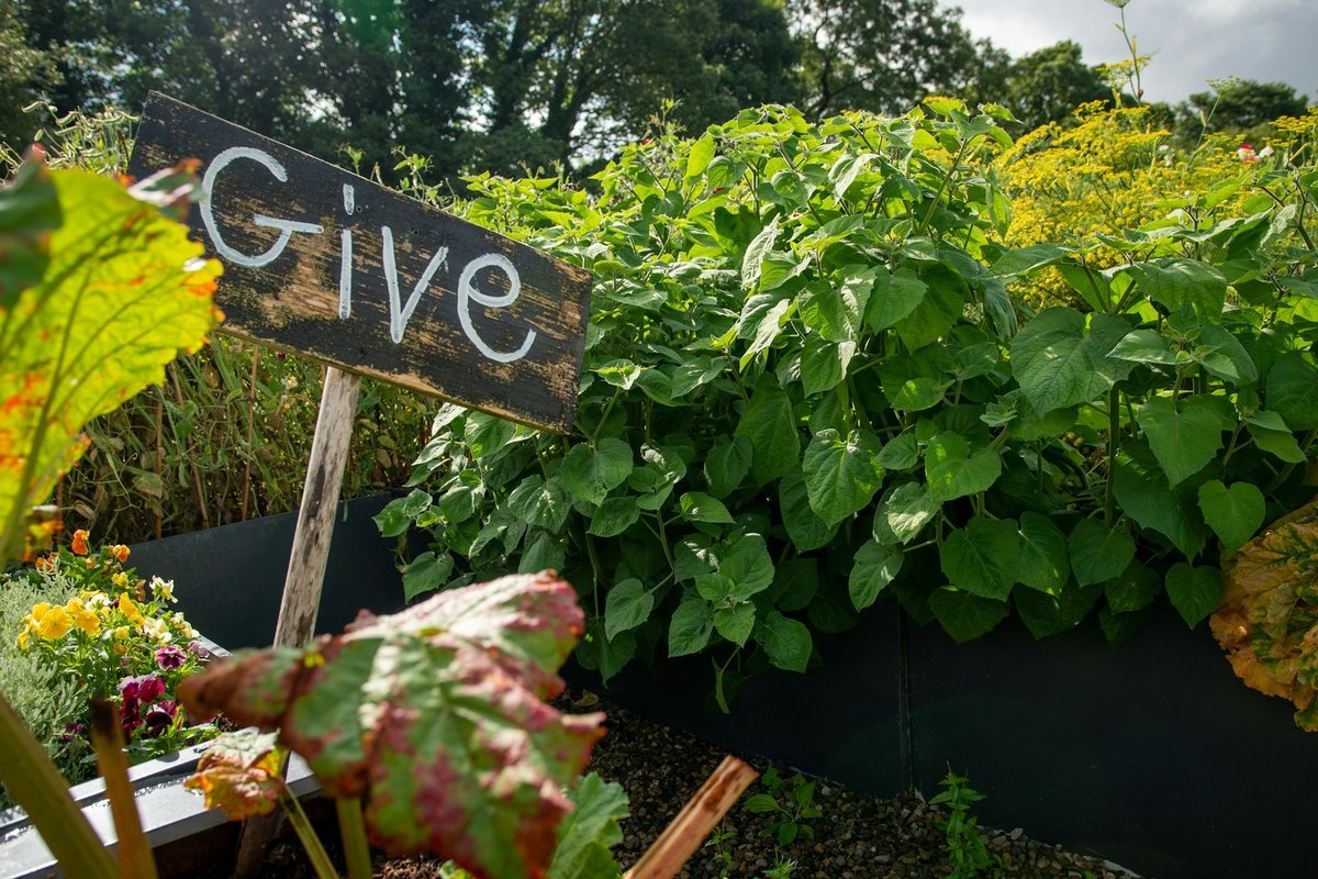 Innovate Today, Nourish Tomorrow: Reimagining Food Security Across Vancouver