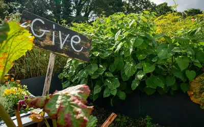 Innovate Today, Nourish Tomorrow: Reimagining Food Security Across Vancouver