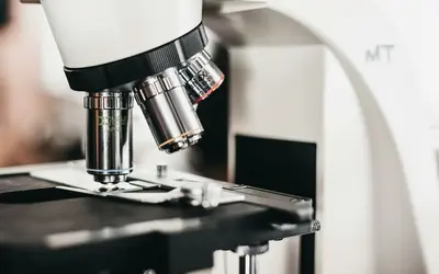 Micro-Volunteering in Vancouver: How to Make a Big Difference in Just Minutes