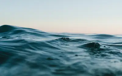 Image à la une pour Celebrate World Water Day in Vancouver!