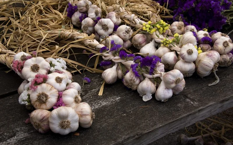 The Sharing Farm- The Garlic Fest