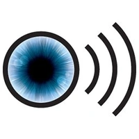 VocalEye Descriptive Arts