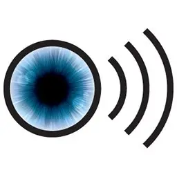 VocalEye Descriptive Arts