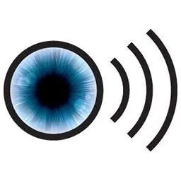 VocalEye Descriptive Arts