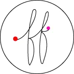 Fire and Flower Society